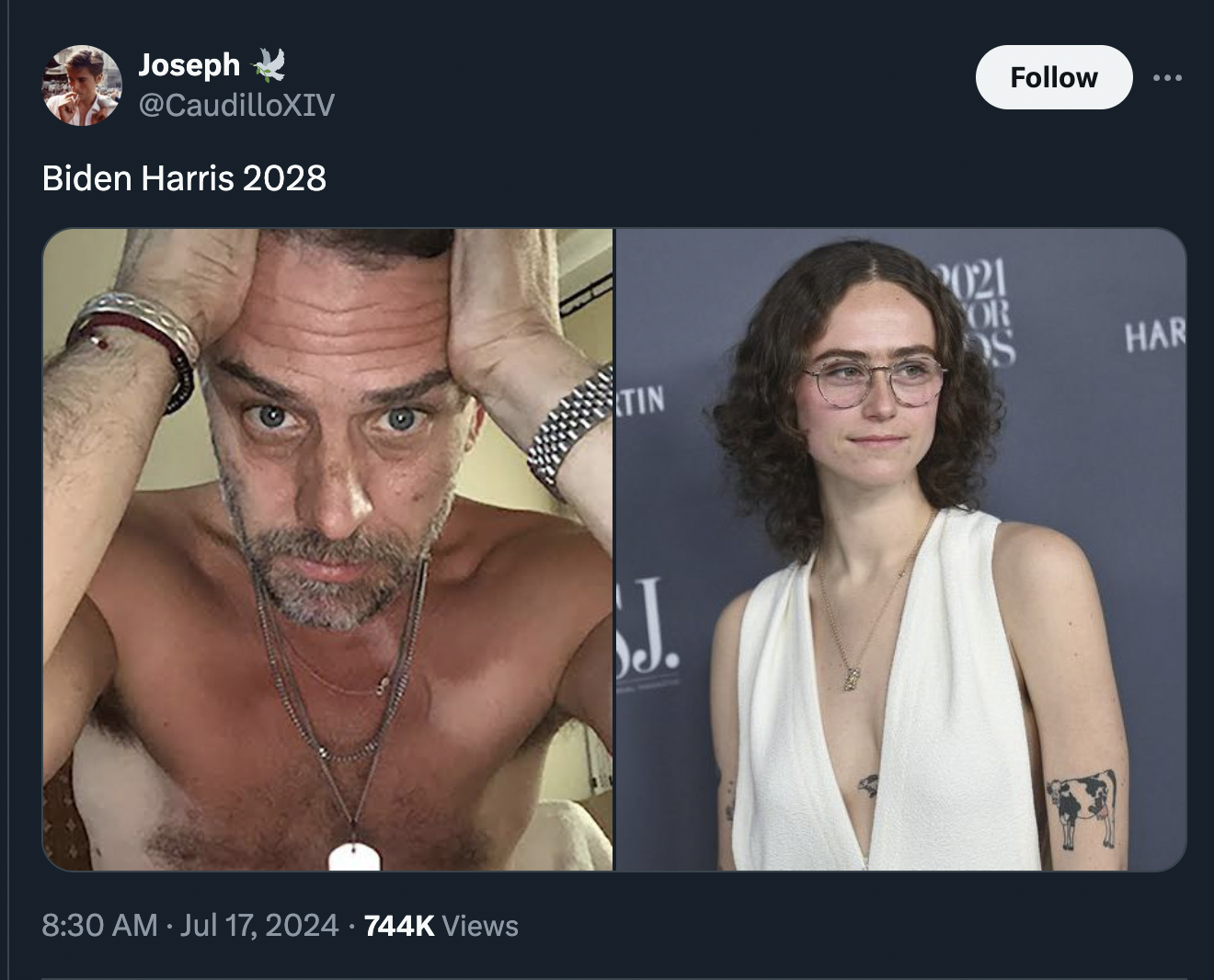 hunter biden hung - Joseph Biden Harris 2028 Views 2021 Or Ds Har Tin J.